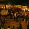 Die Waldarena